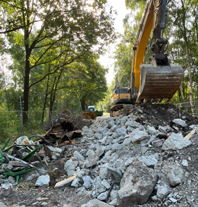 bild-1